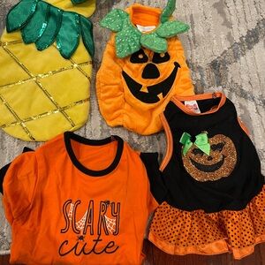 XS Halloween dog costumes